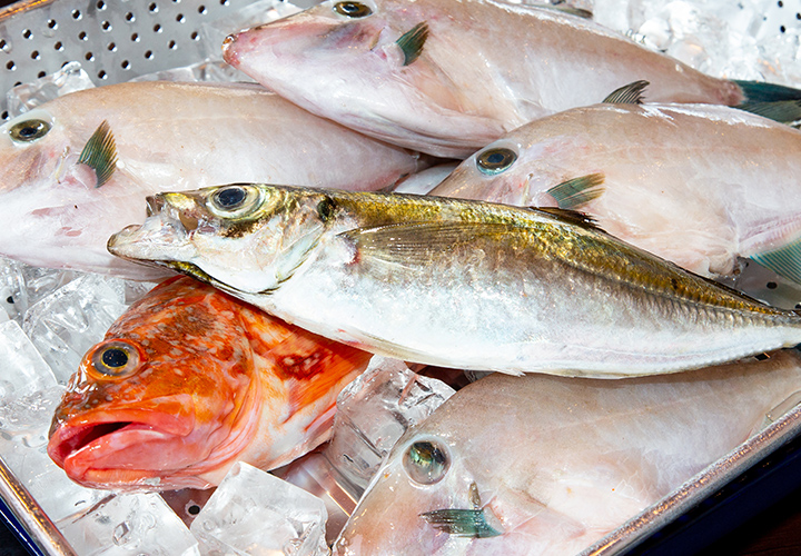 海岸通り前食堂　きん魚について